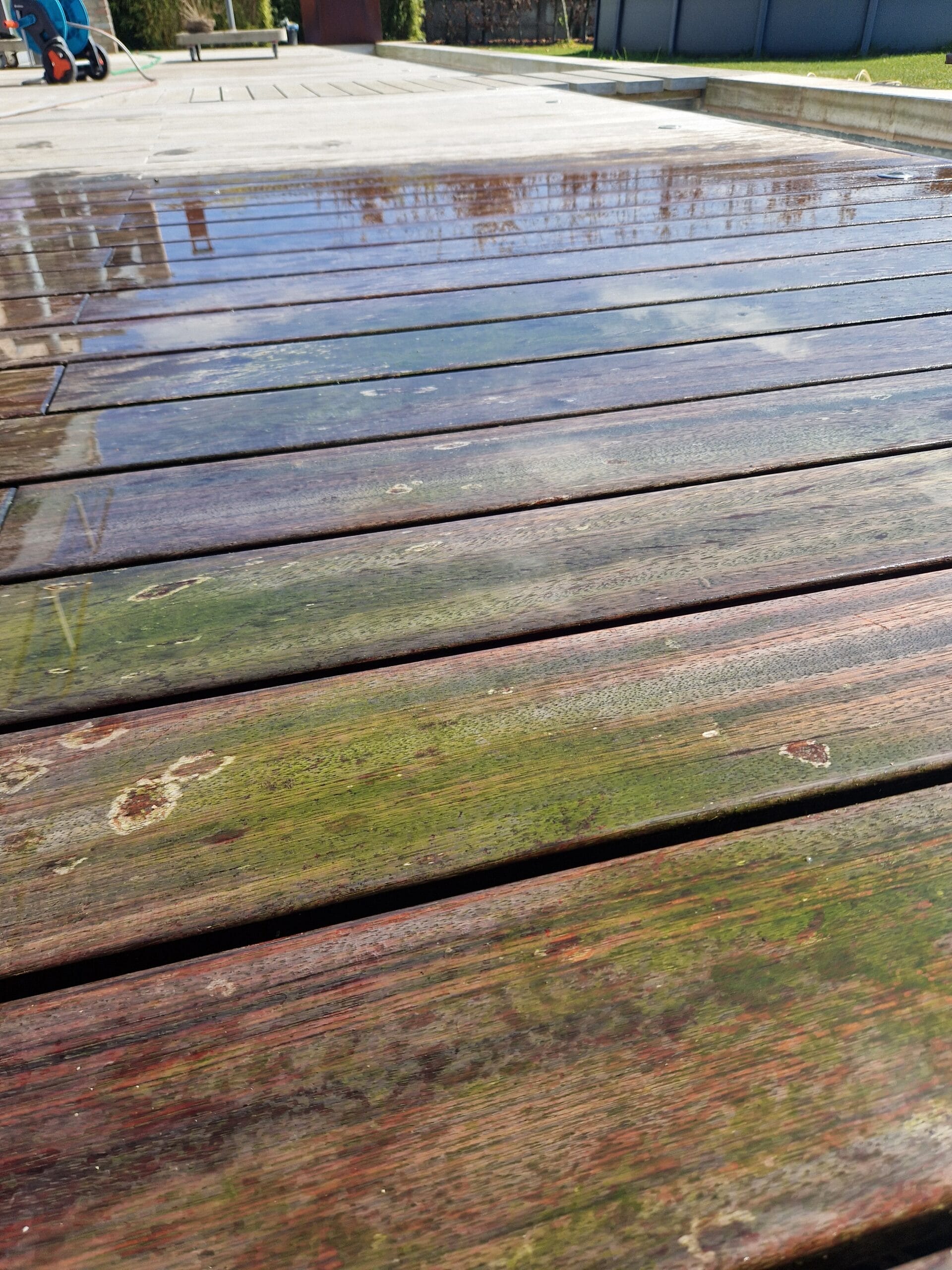 Terrasse en bois glissante et couverte de mousse verte avant nettoyage à Lille.